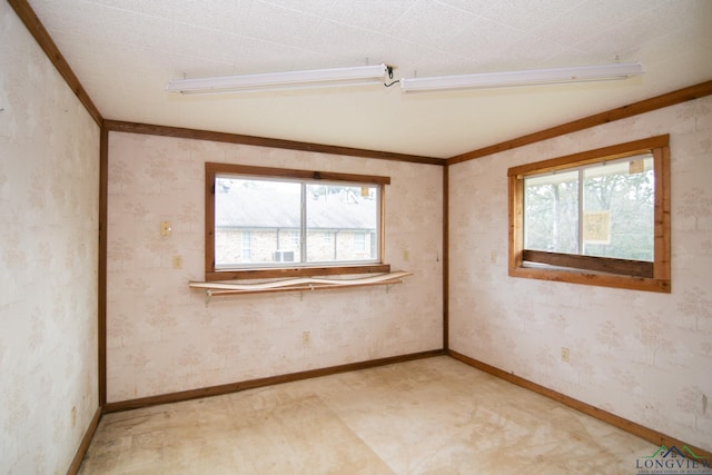 spare room featuring ornamental molding