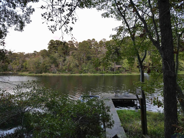 property view of water with a dock