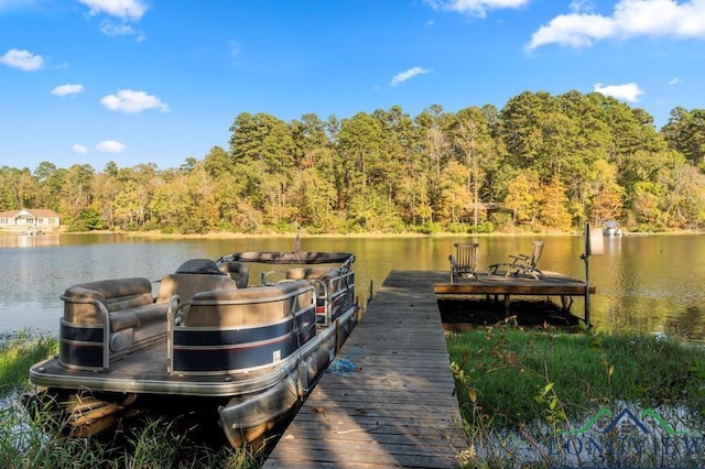 view of dock with a water view