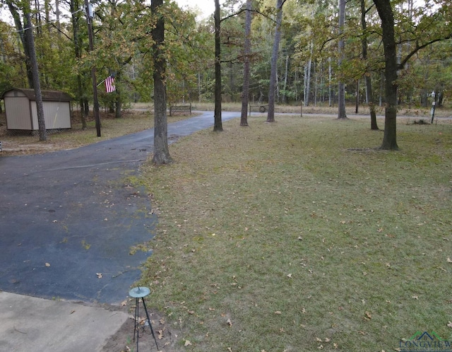 view of yard with a storage unit