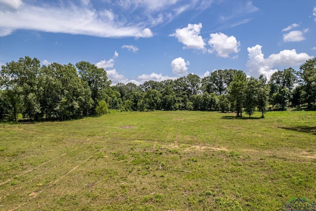 2944 E Sh 315, Mount Enterprise, TX 75681 - photo 45