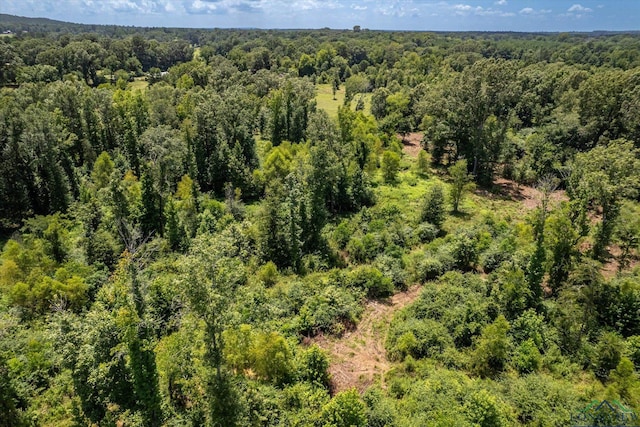 2944 E Sh 315, Mount Enterprise, TX 75681 - photo 39