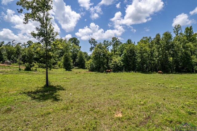 2944 E Sh 315, Mount Enterprise, TX 75681 - photo 43
