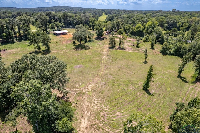 2944 E Sh 315, Mount Enterprise, TX 75681 - photo 41