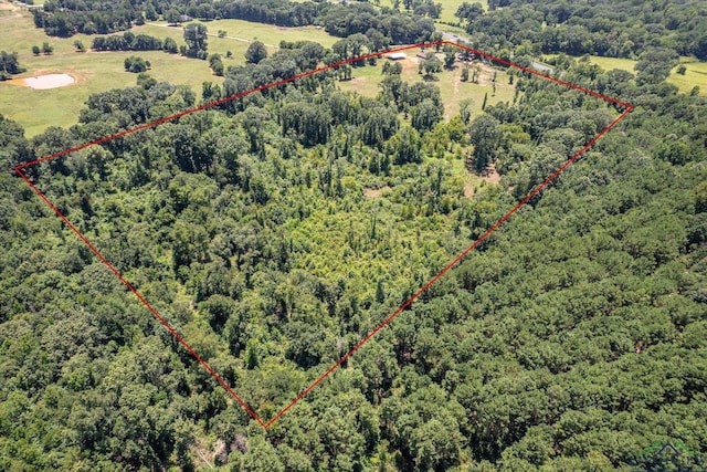 2944 E Sh 315, Mount Enterprise, TX 75681 - photo 33