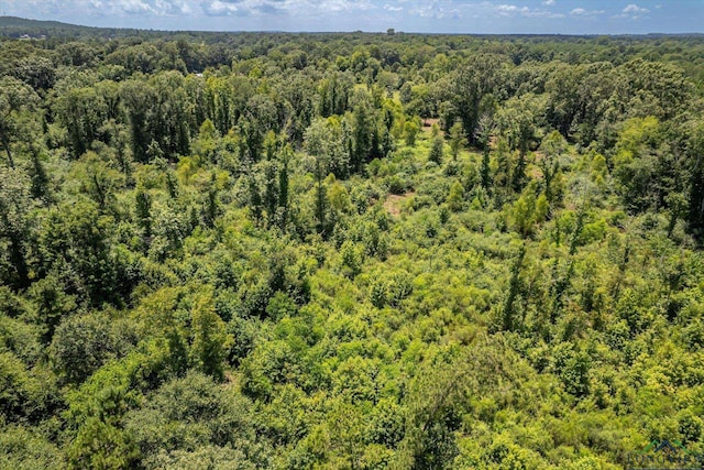 2944 E Sh 315, Mount Enterprise, TX 75681 - photo 38