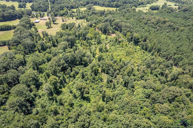 2944 E Sh 315, Mount Enterprise, TX 75681 - photo 35