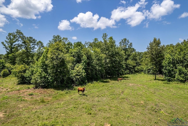 2944 E Sh 315, Mount Enterprise, TX 75681 - photo 44