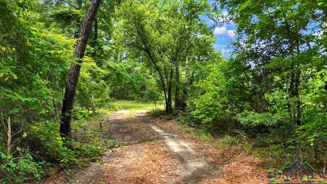 6299 US Highway 271, Gilmer, TX 75644 - photo 39