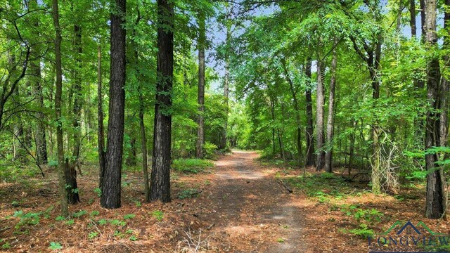 6299 US Highway 271, Gilmer, TX 75644 - photo 40
