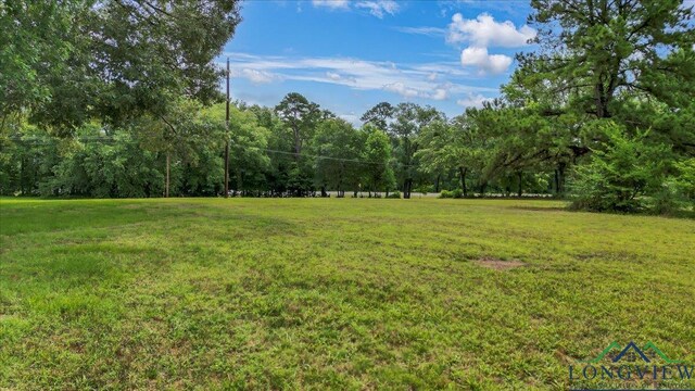 6299 US Highway 271, Gilmer, TX 75644 - photo 33