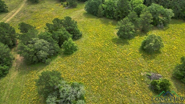 6299 US Highway 271, Gilmer, TX 75644 - photo 48