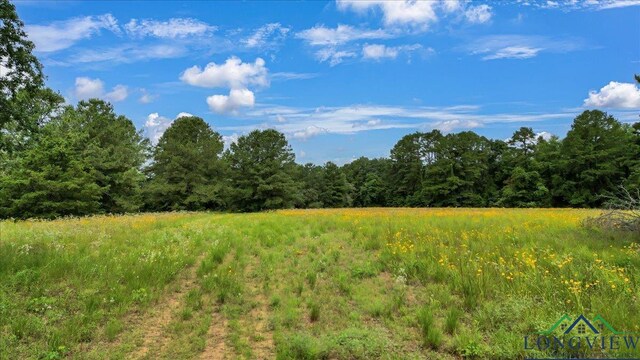 6299 US Highway 271, Gilmer, TX 75644 - photo 38