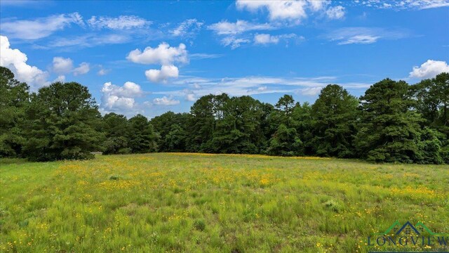 6299 US Highway 271, Gilmer, TX 75644 - photo 37