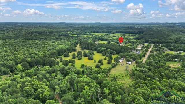 6299 US Highway 271, Gilmer, TX 75644 - photo 46