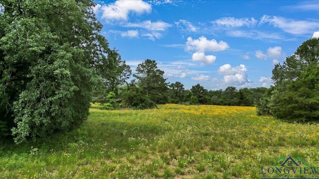 6299 US Highway 271, Gilmer, TX 75644 - photo 36