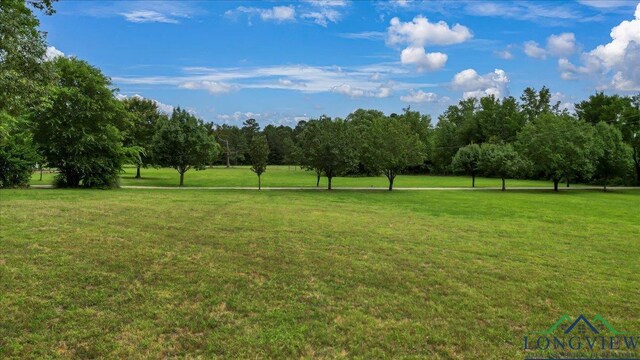 6299 US Highway 271, Gilmer, TX 75644 - photo 32