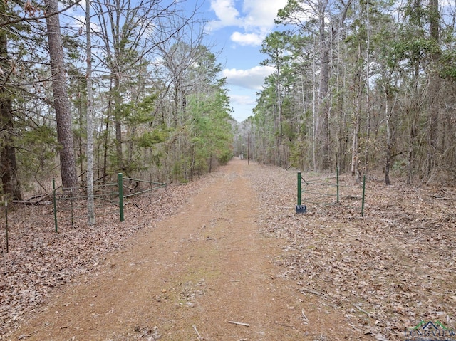 view of local wilderness featuring a view of trees