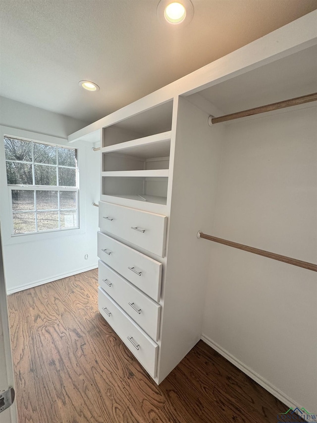 spacious closet with hardwood / wood-style floors