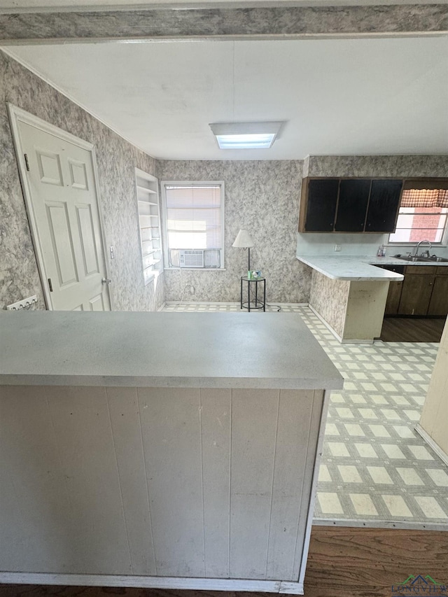 kitchen with plenty of natural light, sink, and light wood-type flooring