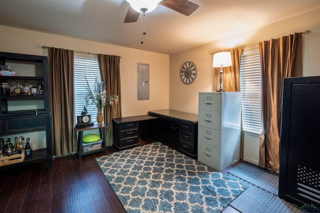 home office with ceiling fan, electric panel, and dark hardwood / wood-style flooring