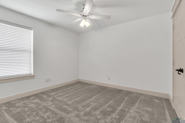 171 Labrador Ln, Hallsville, TX 75650 - photo 20