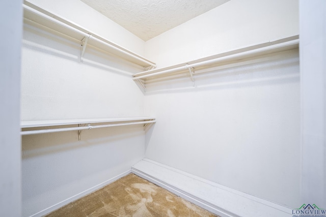 walk in closet featuring carpet flooring