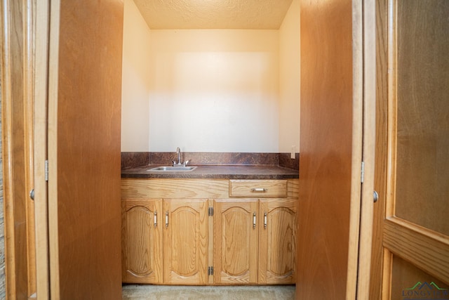 kitchen featuring light carpet, a textured ceiling, and sink