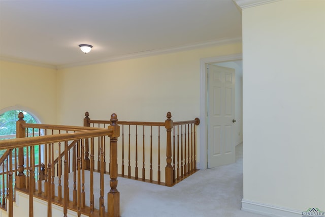 hall featuring crown molding and light carpet