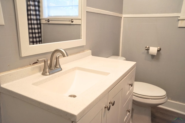 bathroom with wood-type flooring, vanity, and toilet