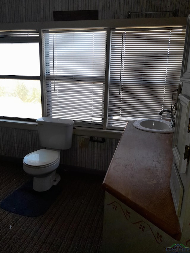 bathroom featuring vanity, toilet, and radiator