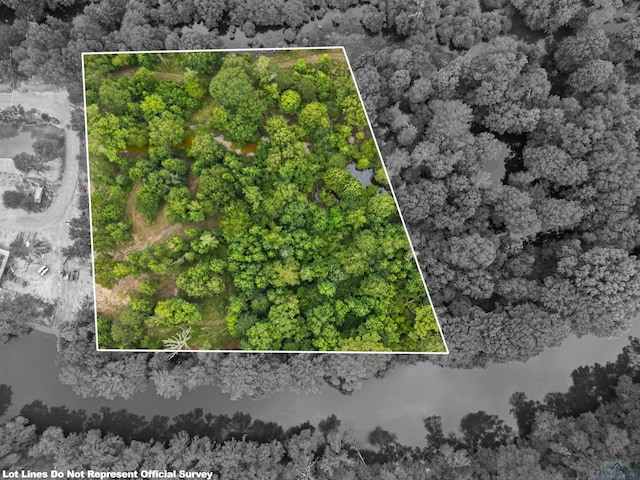 000 Moon Lake Rd, Jefferson, TX 75657 - photo 4