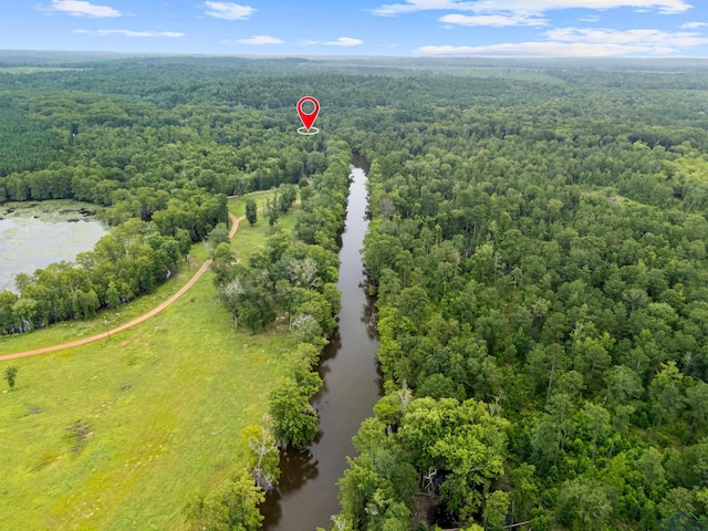 000 Moon Lake Rd, Jefferson, TX 75657 - photo 6