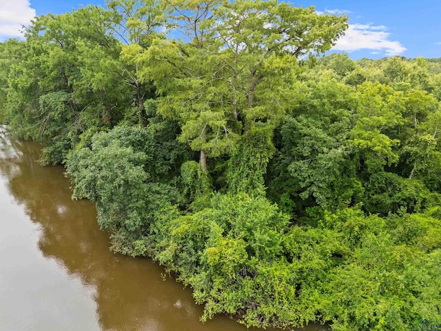 000 Moon Lake Rd, Jefferson, TX 75657 - photo 10