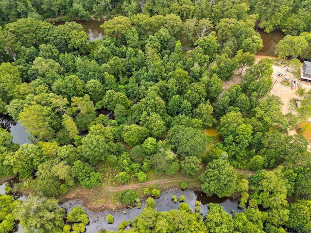 000 Moon Lake Rd, Jefferson, TX 75657 - photo 8