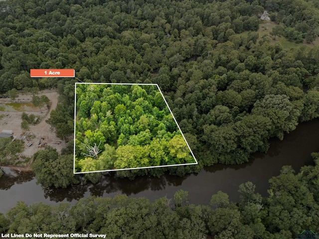 000 Moon Lake Rd, Jefferson, TX 75657 - photo 3