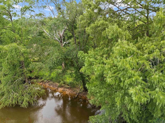 000 Moon Lake Rd, Jefferson, TX 75657 - photo 1
