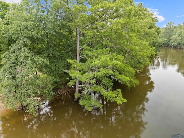 000 Moon Lake Rd, Jefferson, TX 75657 - photo 11
