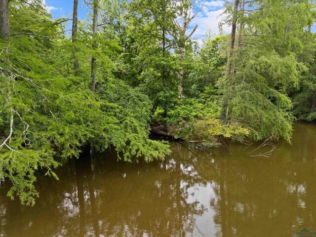 000 Moon Lake Rd, Jefferson, TX 75657 - photo 2