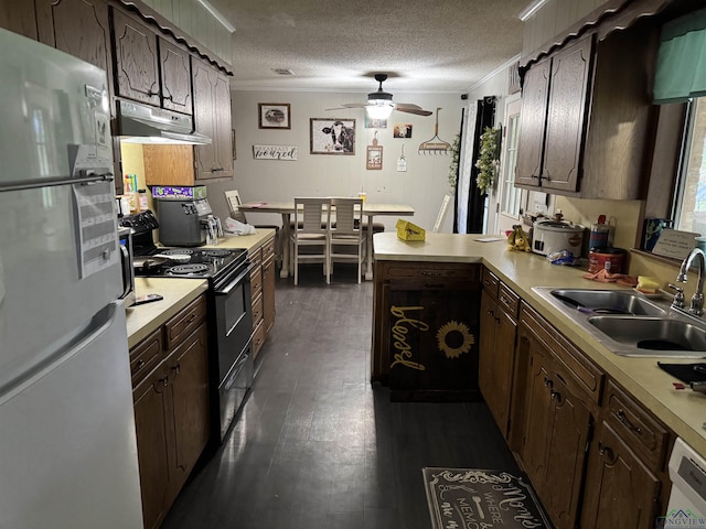 kitchen with white appliances, under cabinet range hood, light countertops, and a sink