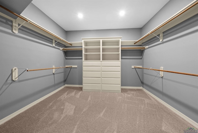 1804 W Lake Dr, Gladewater, TX 75647 - spacious closet featuring light carpet