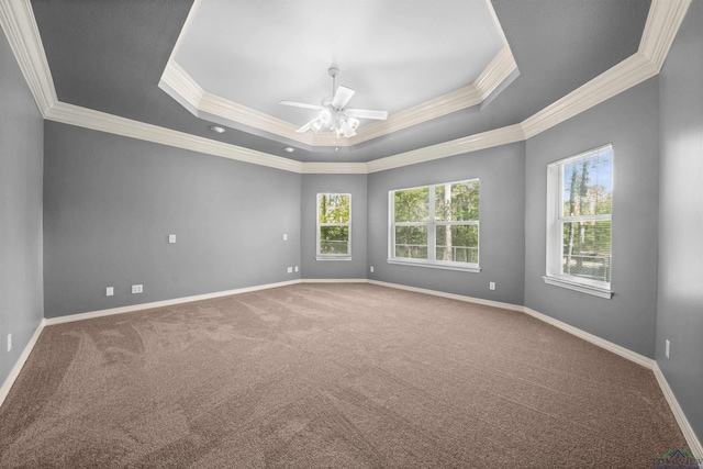 1804 W Lake Dr, Gladewater, TX 75647 - unfurnished room with carpet flooring, ceiling fan, crown molding, and a tray ceiling