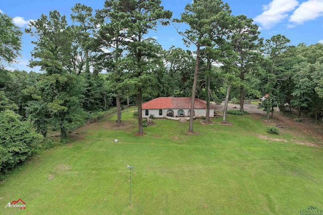453 Wiggins Rd, Karnack, TX 75661 - view of grassy yard