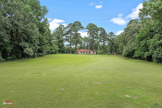 453 Wiggins Rd, Karnack, TX 75661 - view of green lawn