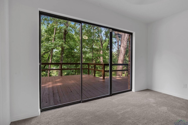 doorway to outside featuring carpet flooring