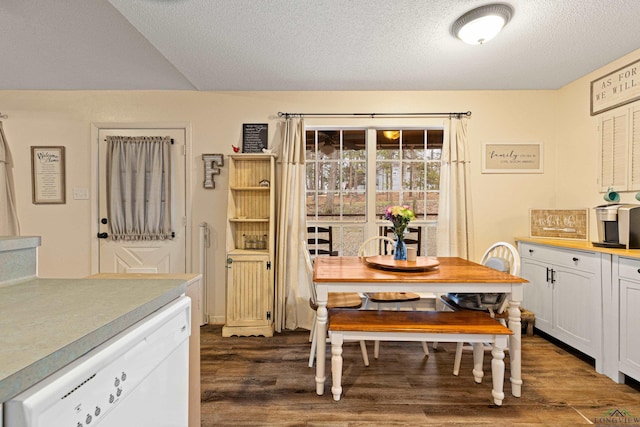 dining room with dark wood finished floors and a textured ceiling