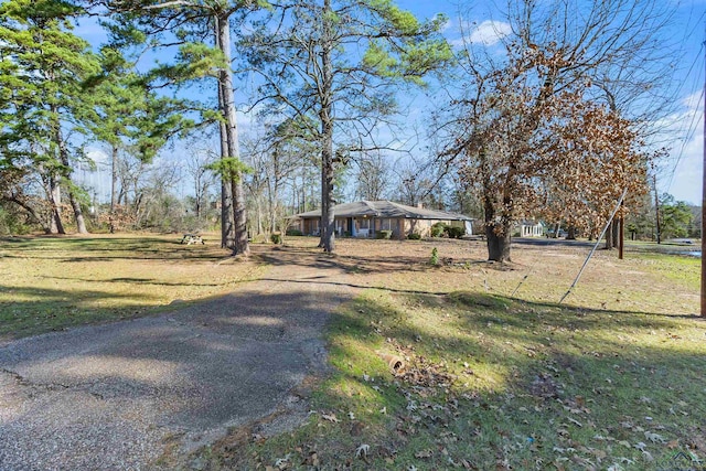 view of front of home featuring a front yard