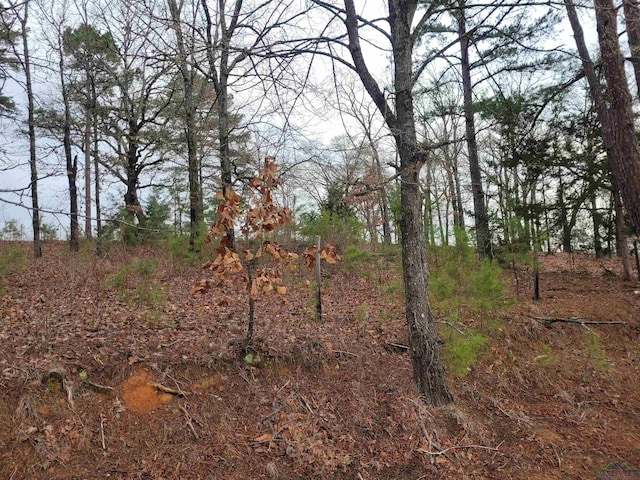 Listing photo 3 for TBD White Fir, Gladewater TX 75647