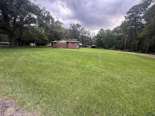 1641 Handy Rd, Diana, TX 75640 - view of grassy yard