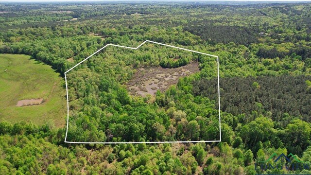 TBD County Road 1143, Daingerfield, TX 75638 - photo 4
